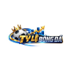 tylebongdach1